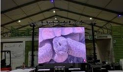 48 48