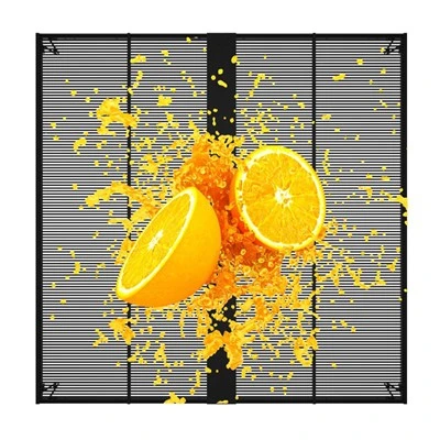 Litestar LTF E Series Outdoor & Indoor High Brightness Transparent Led Display For Window Display And Led Glass Wall Application